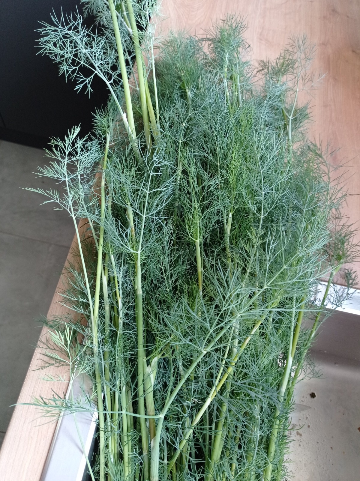 d7a51f4e-07df-430d-80f3-e5fa477f1c6a