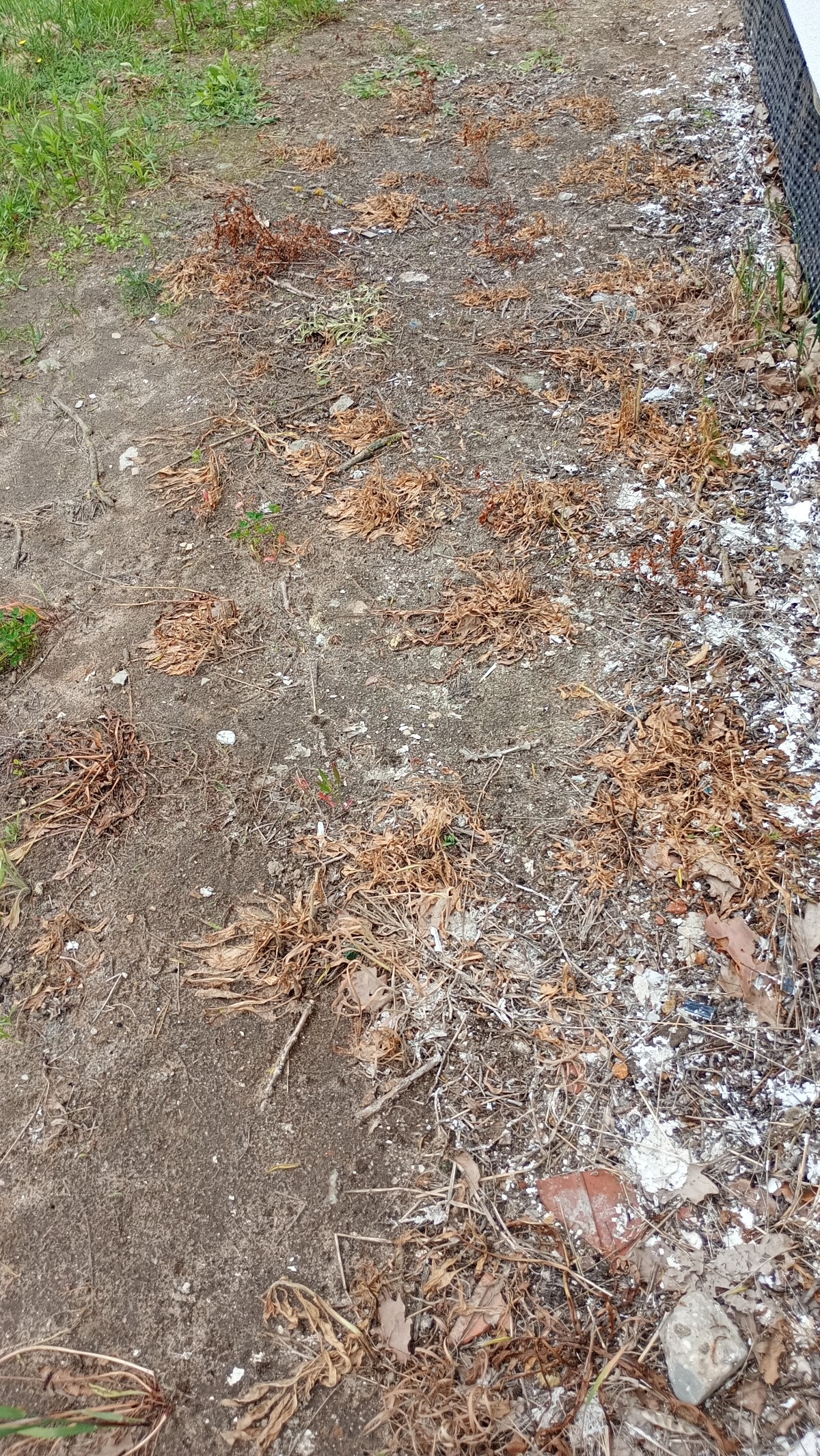 5f335ea3-7ce6-4f29-82d5-e49fbededddc