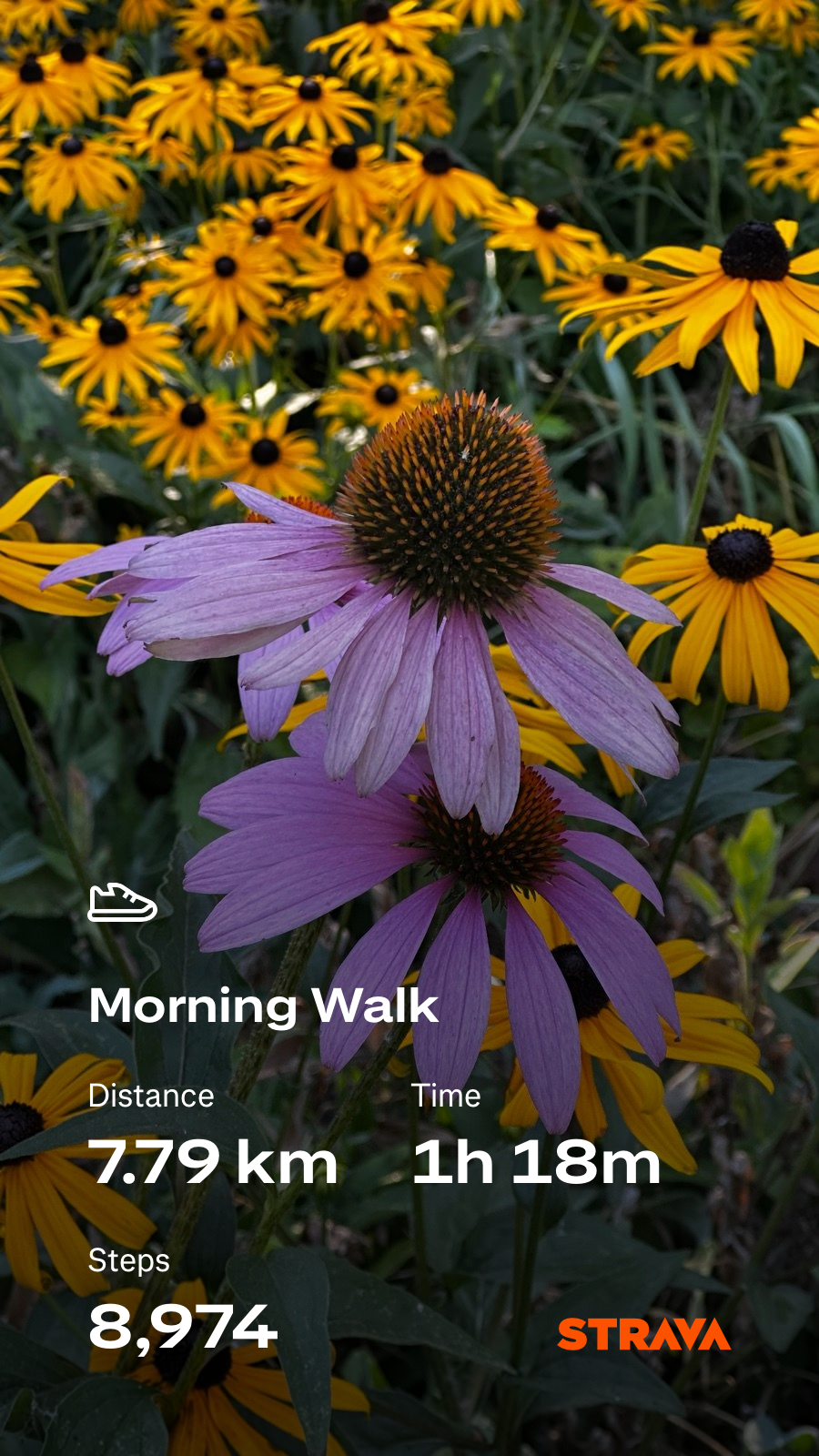 7b990404-8442-4148-9a93-2f31e90f7da1