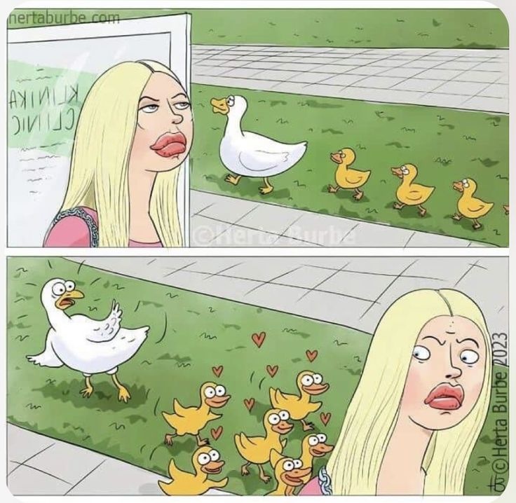 2f5adbf8-b51a-41b0-98b5-774b000d7a3d