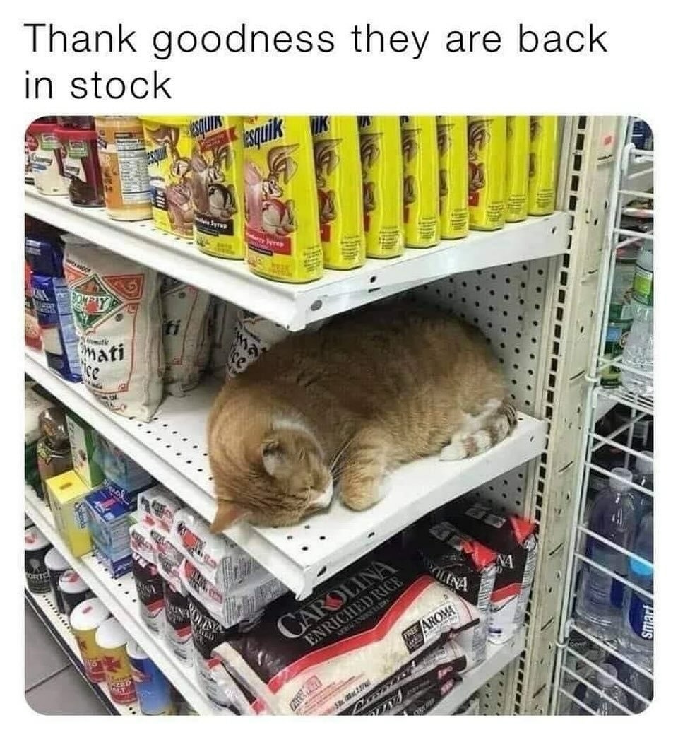 a6614475-46b4-4341-a90b-5a7bfd06e7ed