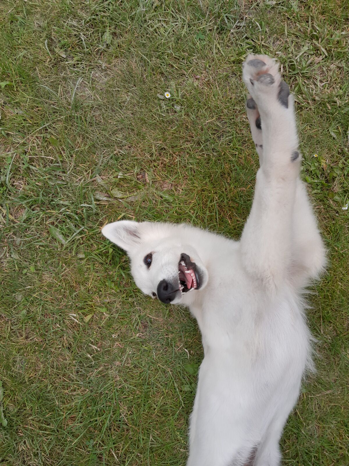 b8371685-c93d-4515-af44-51a6cb828ac6