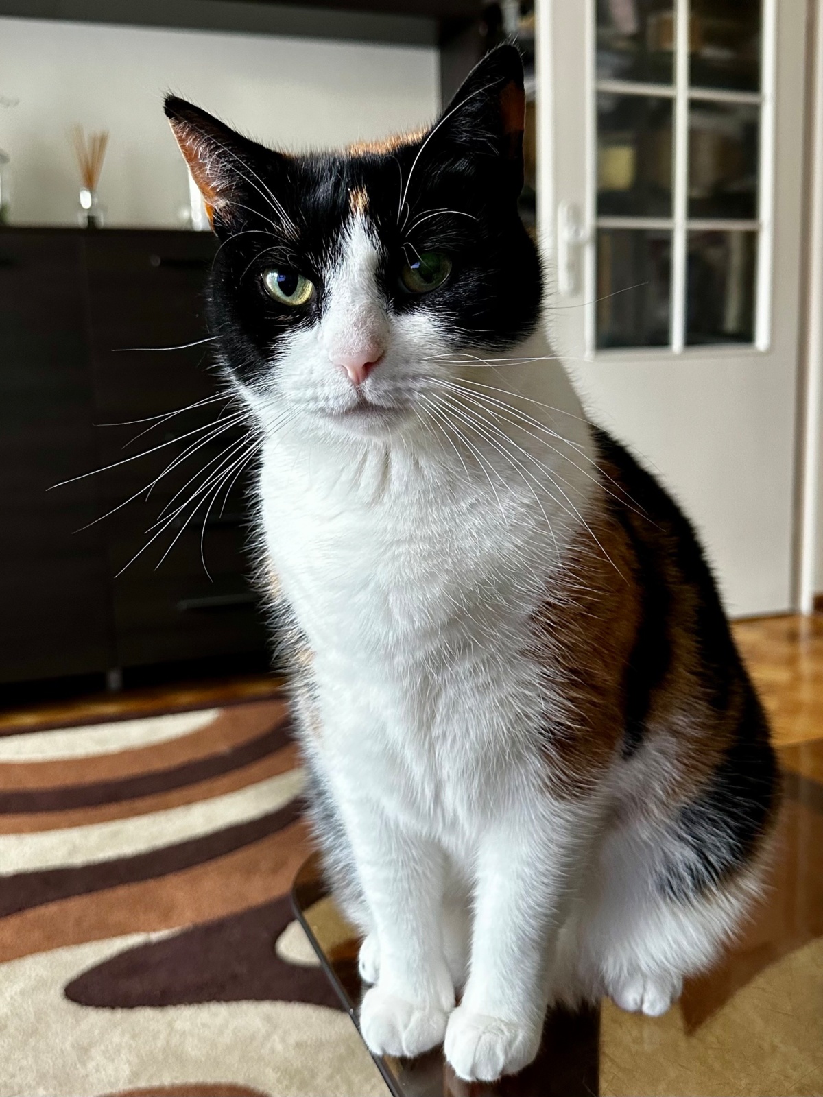 7b923dea-ed7e-4cfb-9c25-adaef93175fa