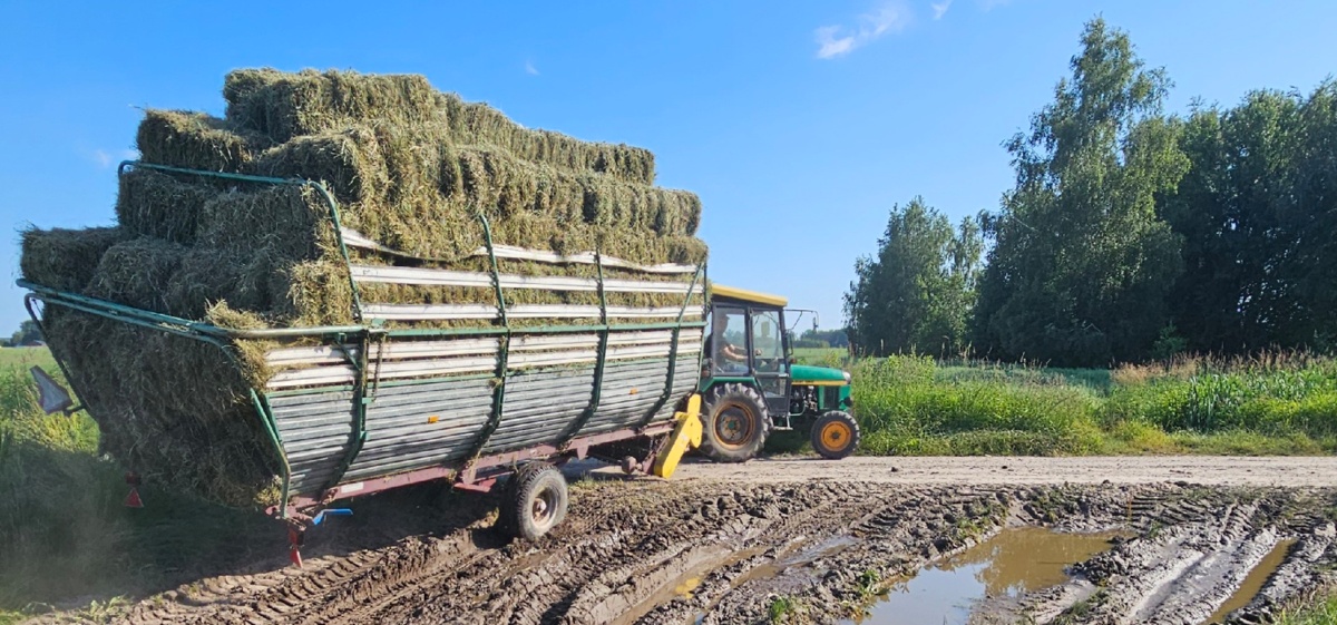 58729b7c-808f-4414-9e46-5d01dde4c6b6