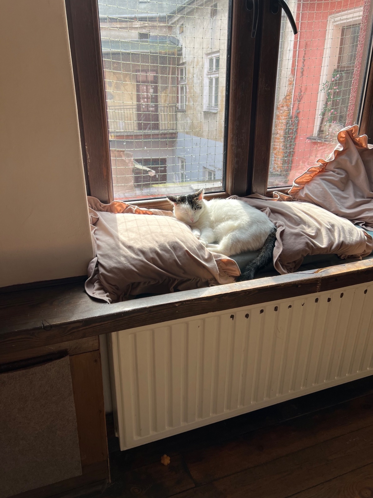 17286c6c-7546-4921-9d08-33ff44ec3439