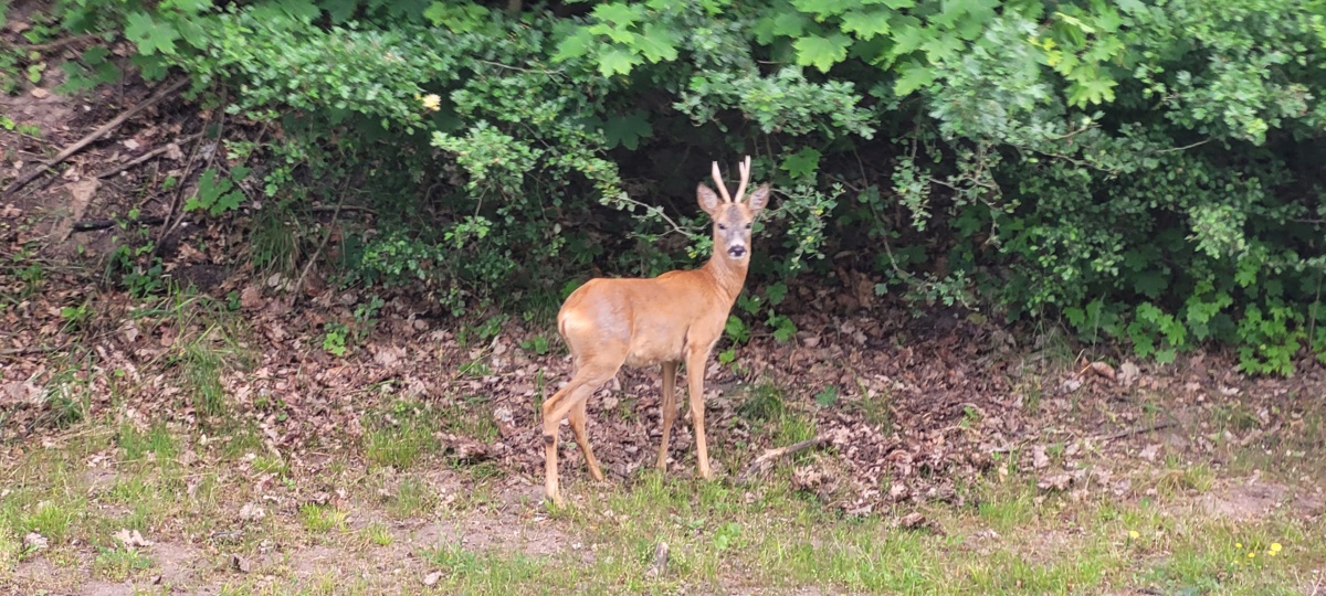 46da1e1d-847e-4955-8e50-d65c25f35b05