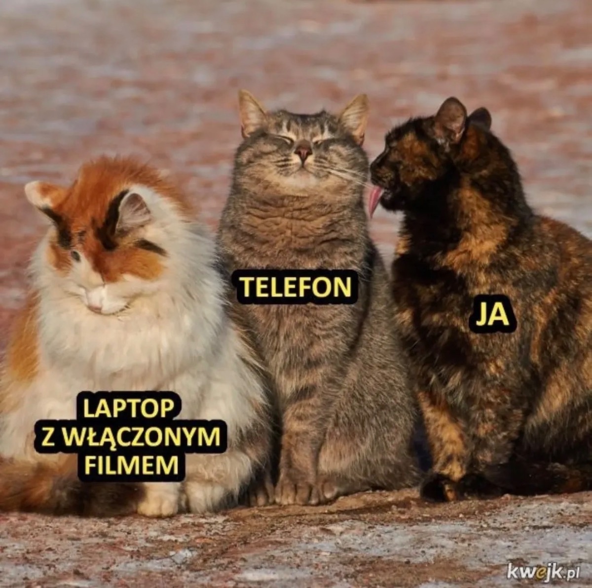 7aad0549-918c-426d-b44b-ad7d0a93eb41