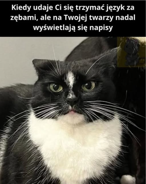 2568caad-07af-43be-94bc-2b2f87780709