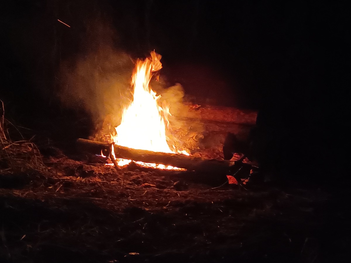 614d0ea5-8504-4e26-bf6f-049d81f7517f