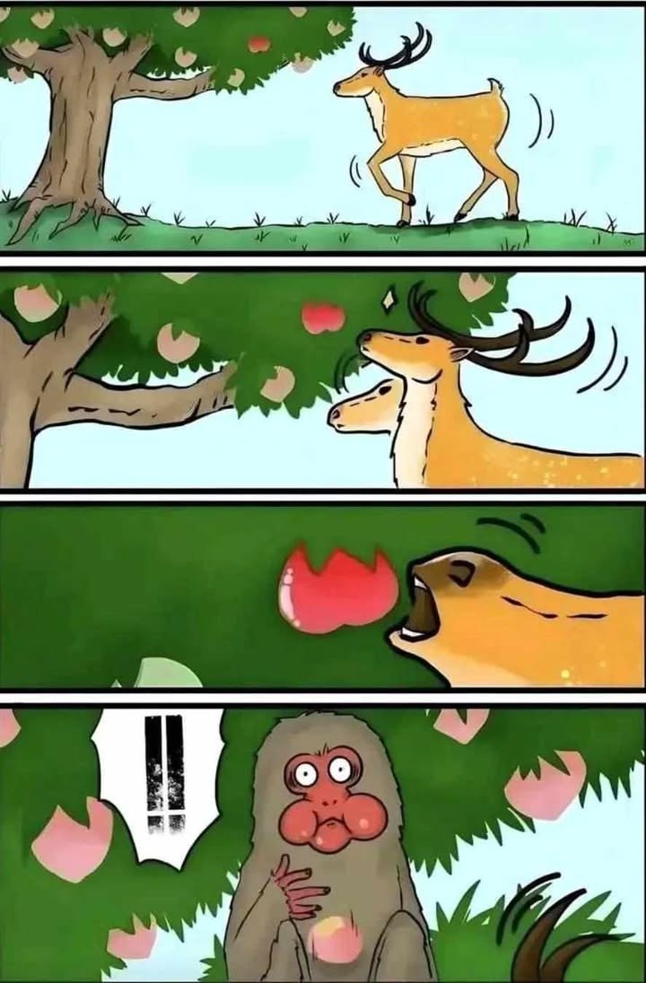 436d2a8f-213e-45ce-864f-ea11ad44a3bb