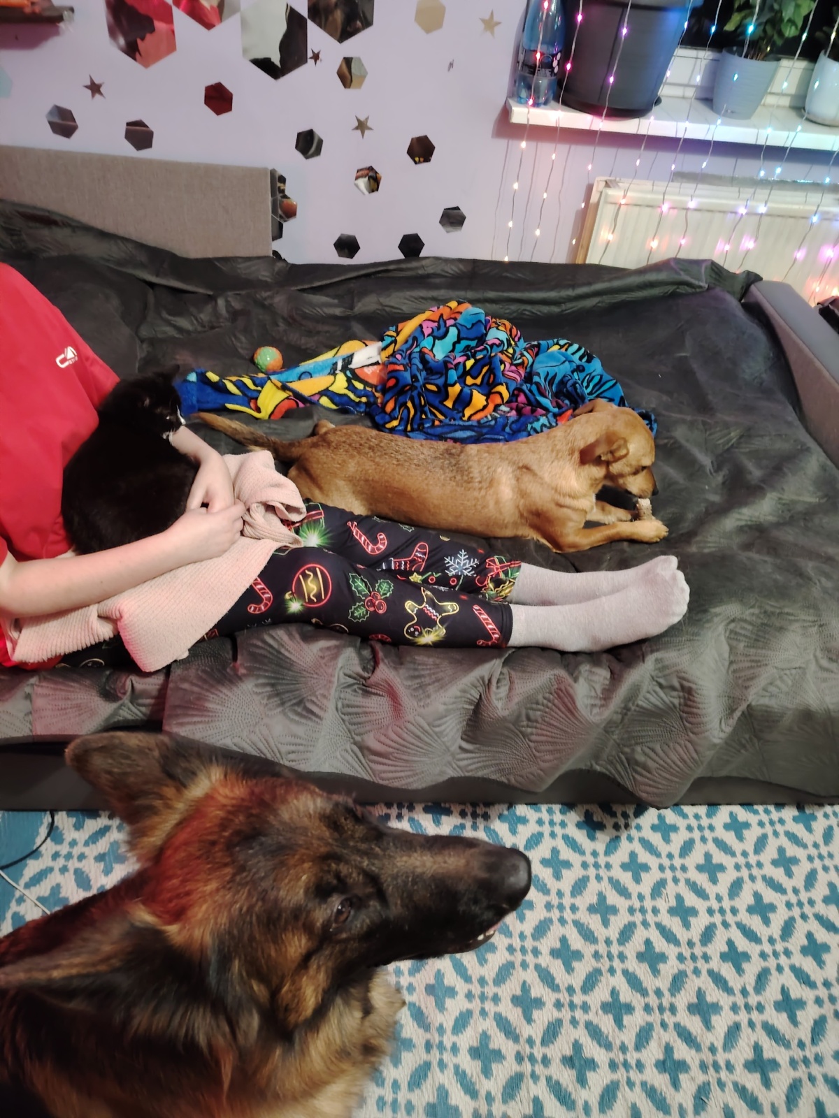 7be0196d-11ff-4bd7-8f9e-fbc6a5448437