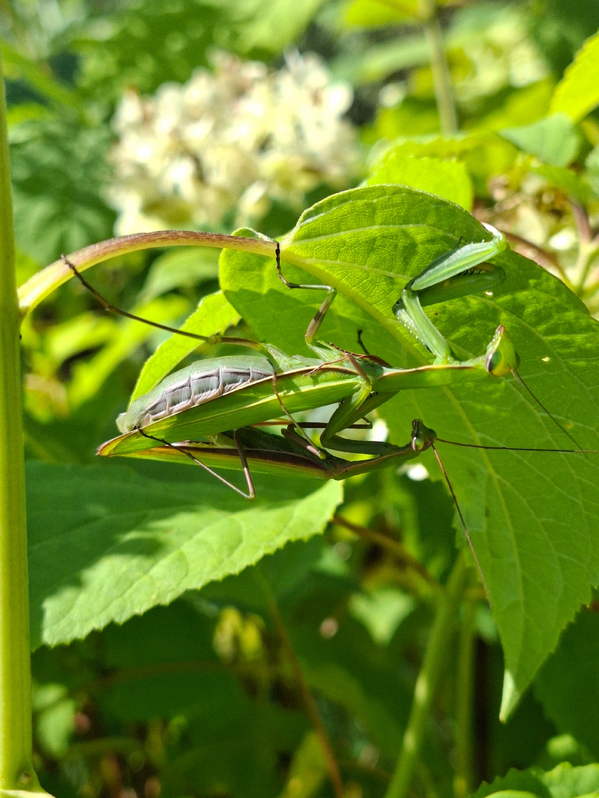 46b3c0a2-0181-4f3b-9f2d-9b99c6af2502