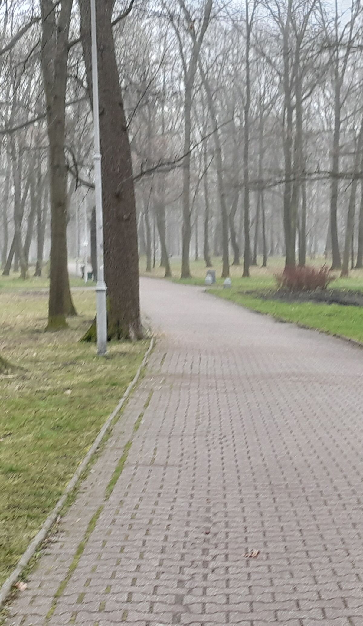 7612693a-26d8-45ab-b638-cbc38af78c00