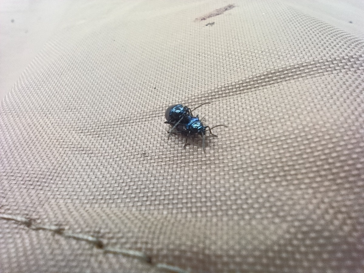 6b861211-9fc3-42e9-a3fe-d1c8a730449b