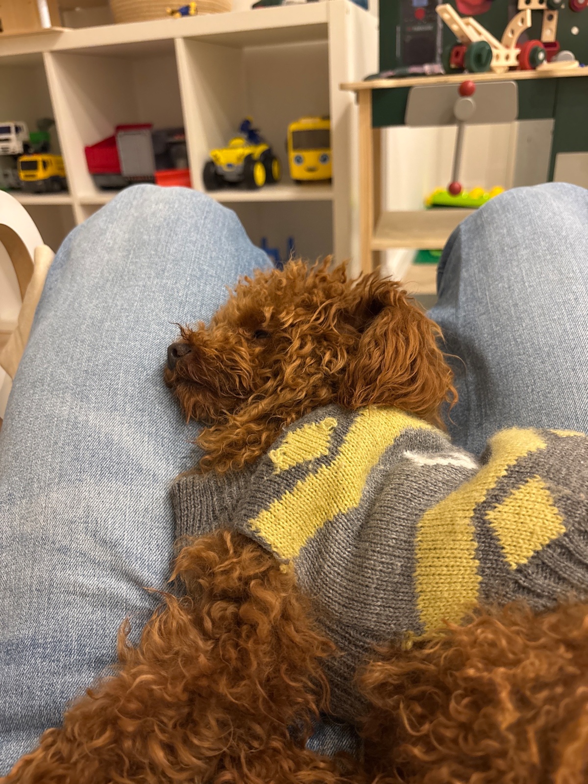 85241a68-0c3f-4ba3-a441-00d6f20e64a0