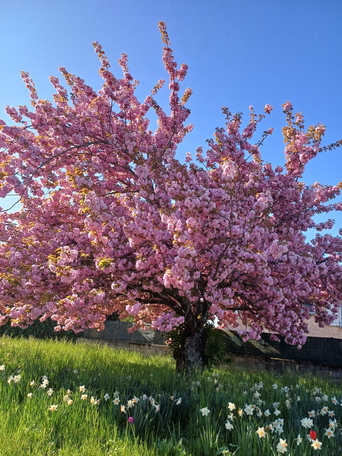 742ad99b-c365-4d91-bc0f-a16c74bc2808