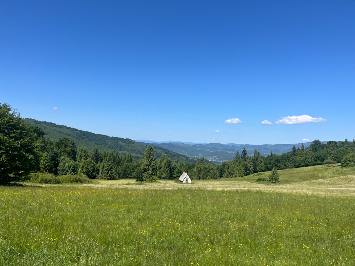 3d212566-01a4-48f8-8be6-46bae655a570