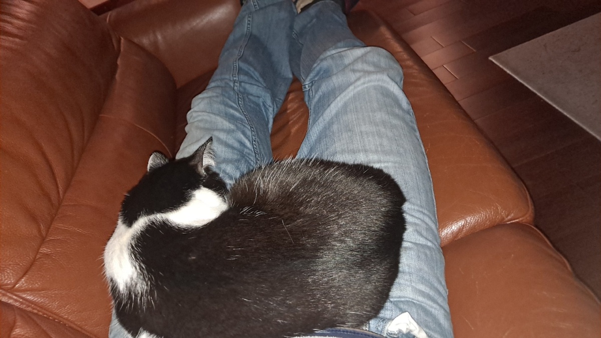 ae787fdf-ba1d-4cef-8bc6-2d890304eba5