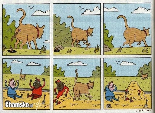 94b46d0f-1c51-4a64-af9a-4b6e43c45e20
