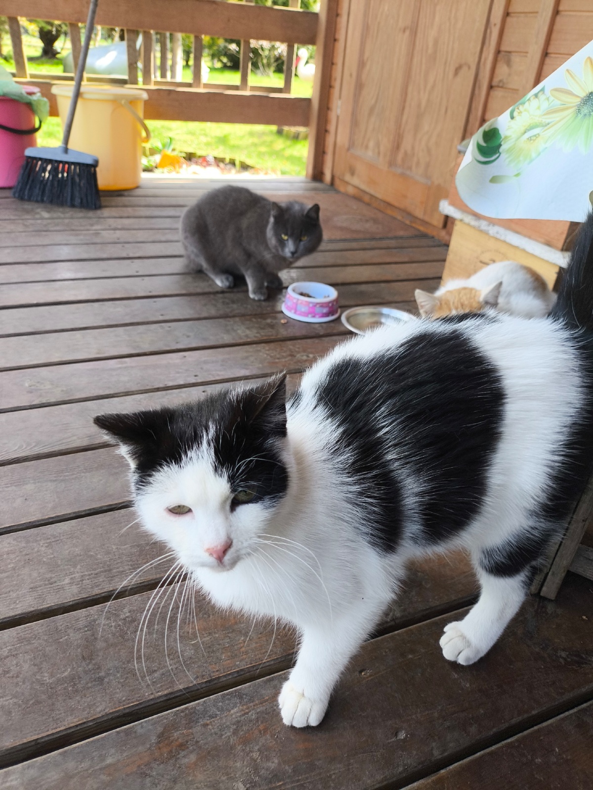 39825a69-3680-42a8-bef7-2ea744eb2d24