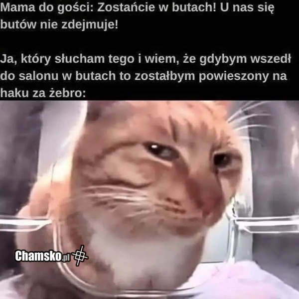 7a2425bb-525e-4f63-b6ff-a65cd32dd666