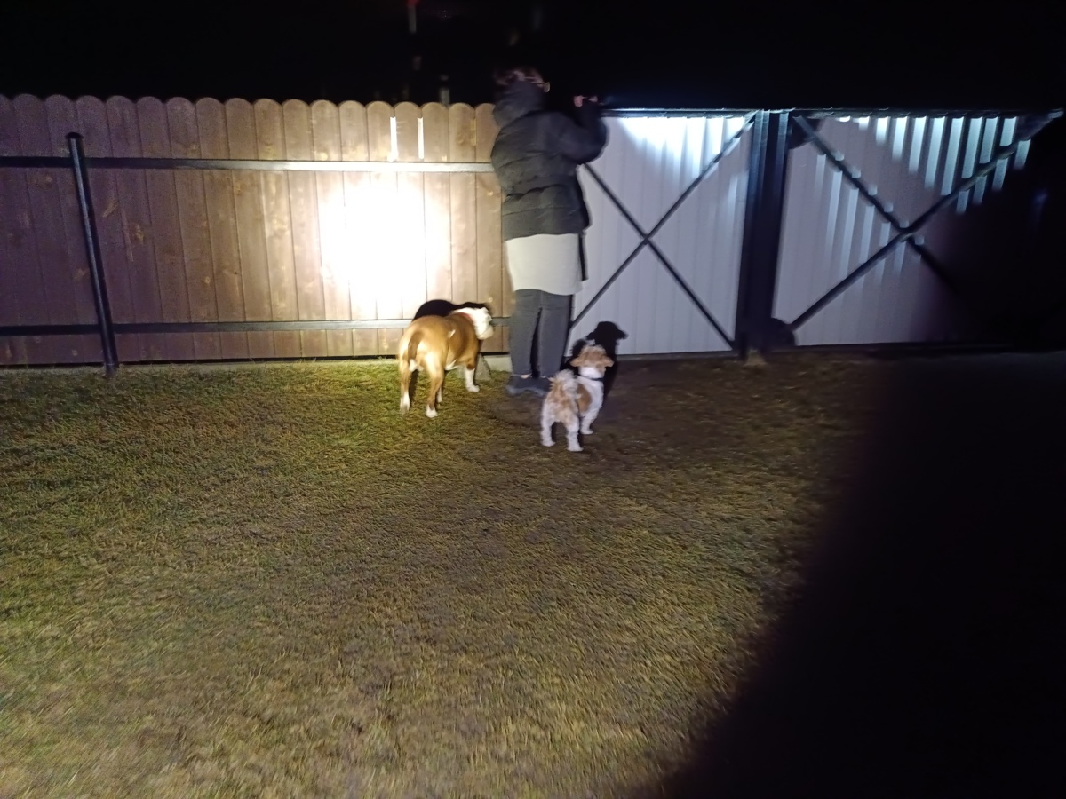 3c03aa2b-1d58-4b29-b032-ffd84a37bbb3