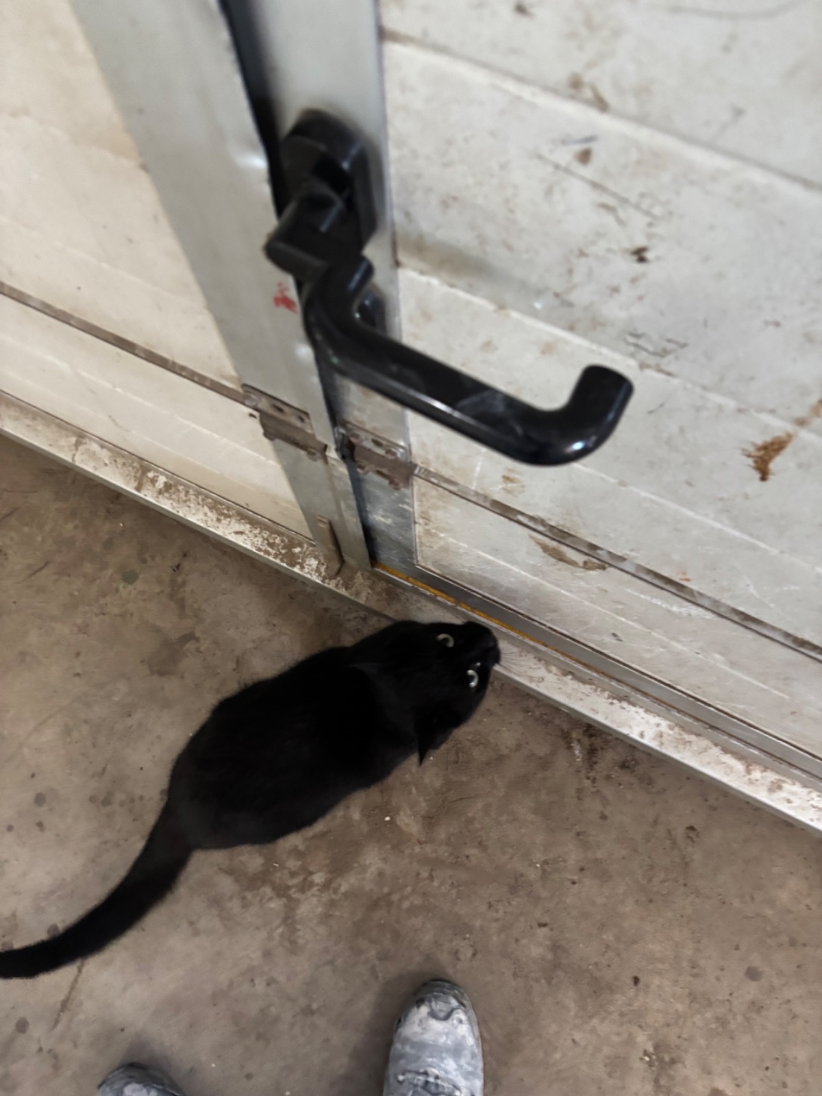 a8a98d20-7ae4-47d7-9574-fe2a900d932a