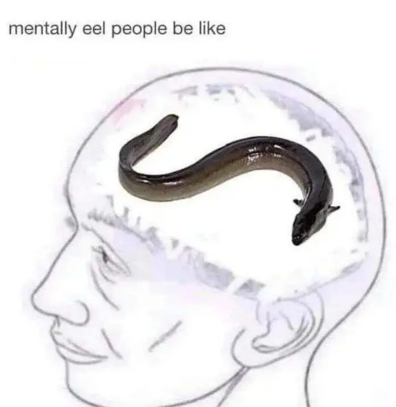 9111fb5f-5f5f-4cf7-abe5-08e954370a17