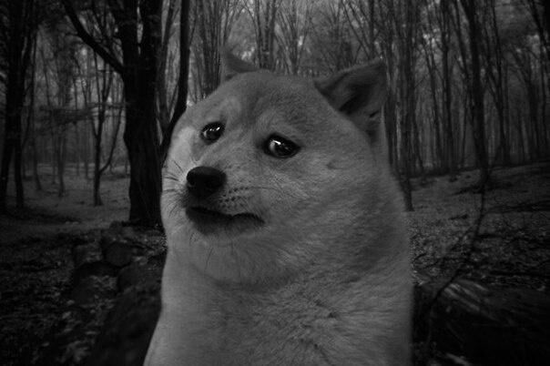 f06fe220-1cea-47c8-9545-0a2588918705