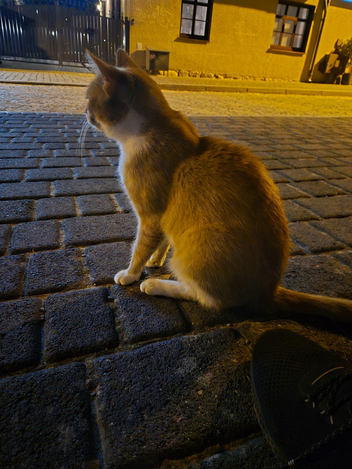 7d48eedd-4d05-4d2f-bad9-8434a3fdd3f2