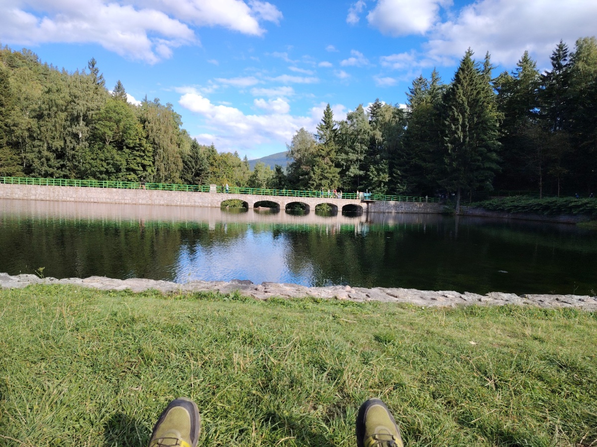 cda16500-81e3-49a4-9c05-dae13ca9c082