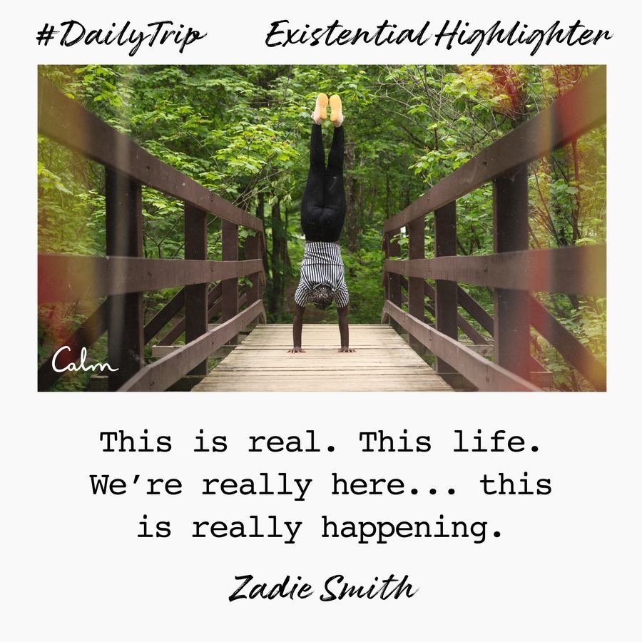 e200686e-5659-4119-a9e6-2fa372f8032d