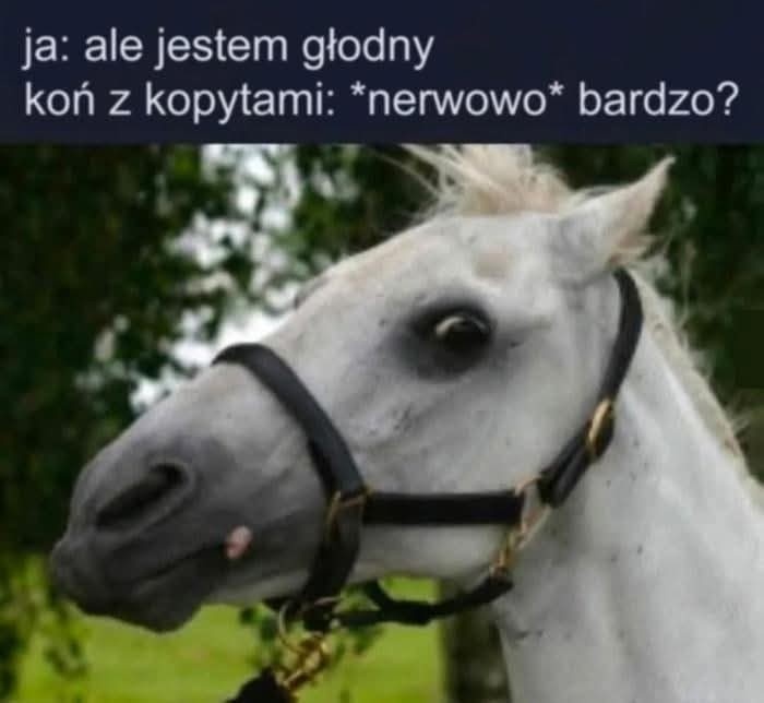 333b2735-9a8c-4b8c-891f-7ba04d090fd1