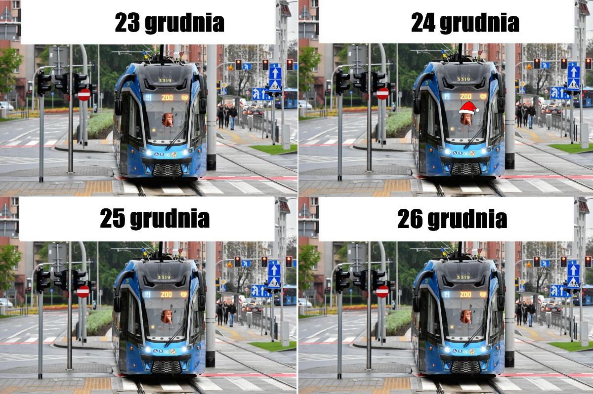 103736ba-5afd-49e0-a9d0-34093d29285d