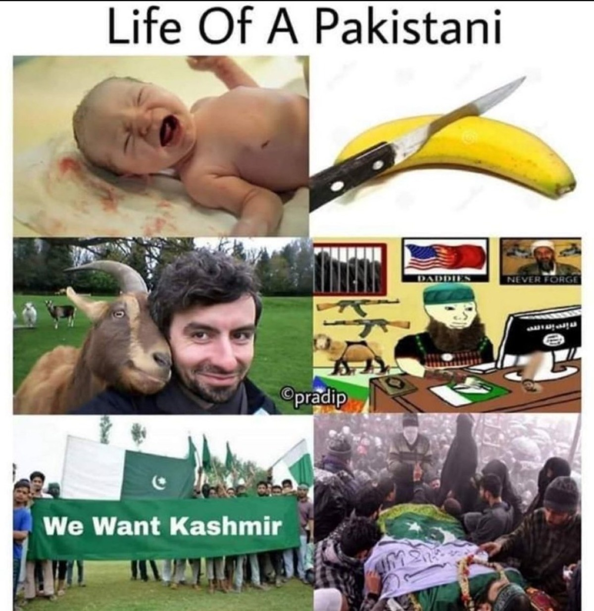 ac84eb45-9762-4d30-b2e9-125565e9baa2