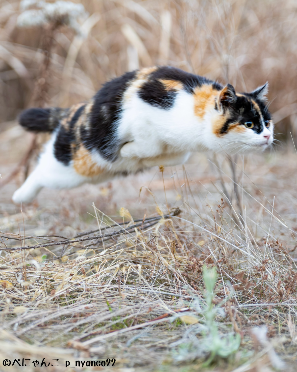 7056149f-0270-478b-b7e3-49fb889beabb