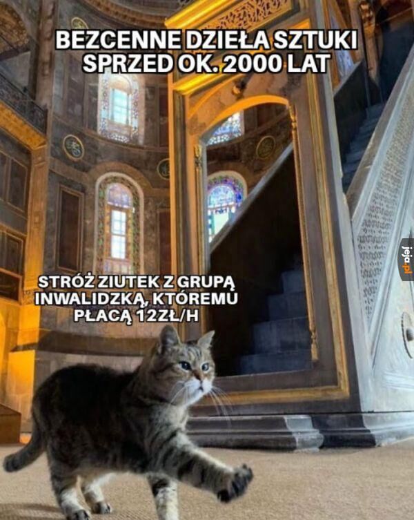 6b07c420-33fb-47d7-a2c9-f0becd71f039