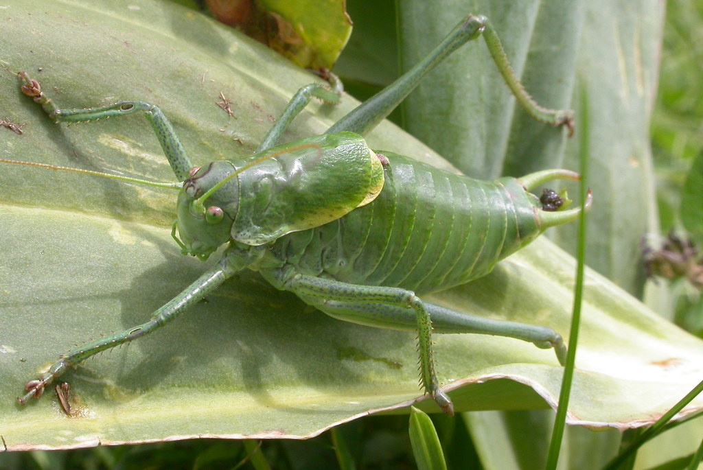 9e231d79-38b9-4c20-a353-8244408dbfb3