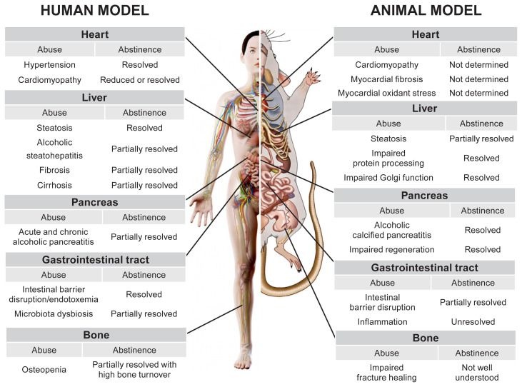 16fddfb9-4267-4f18-9591-24cb0bbb4318