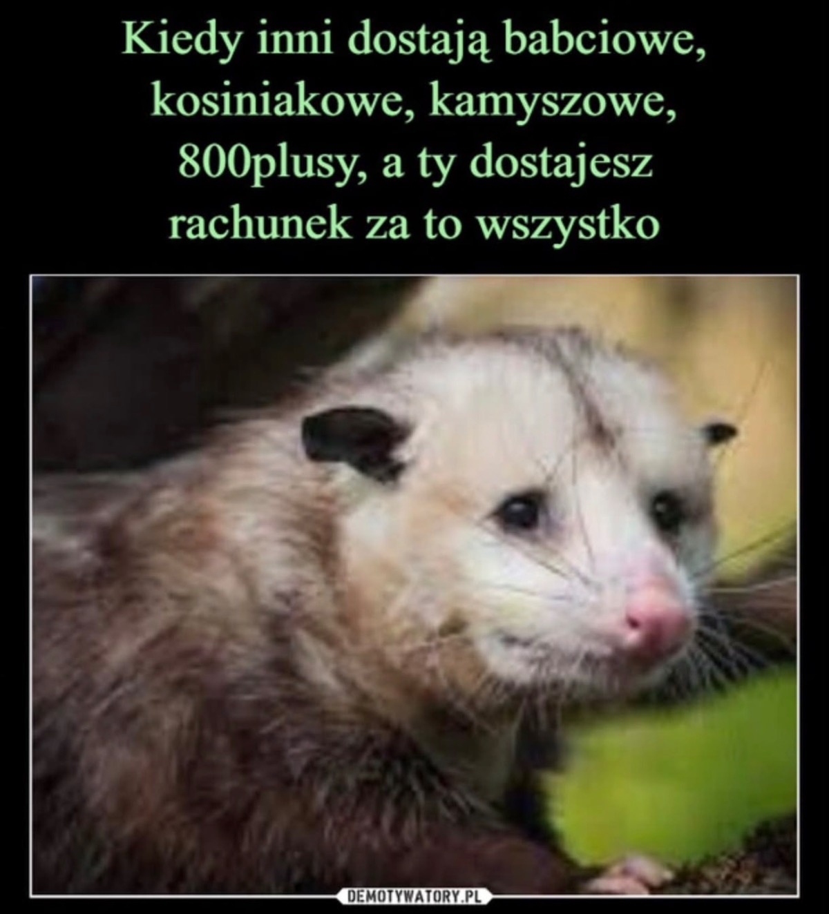 9bfbc803-3f3a-4374-9917-b44fbcf3912c