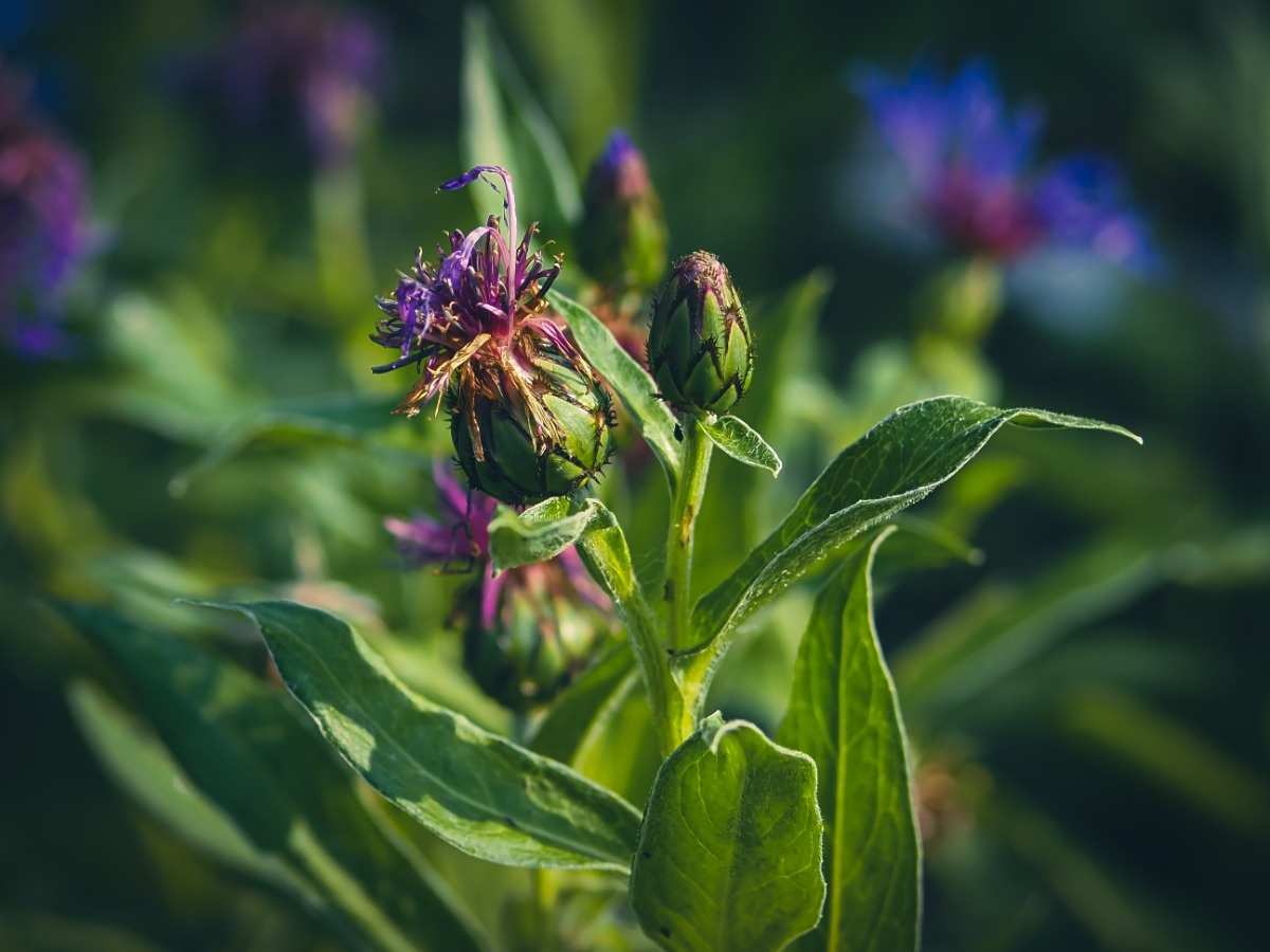 cbbb1d31-2e06-4562-863a-7847721c8b95