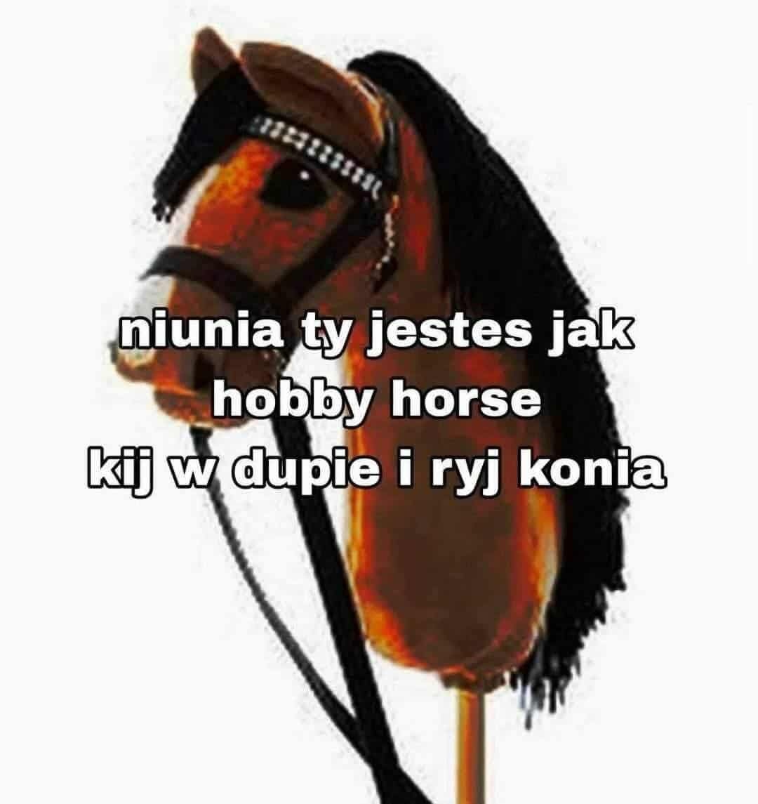 b428eac2-156a-41d5-9fe7-79f34b3f718e