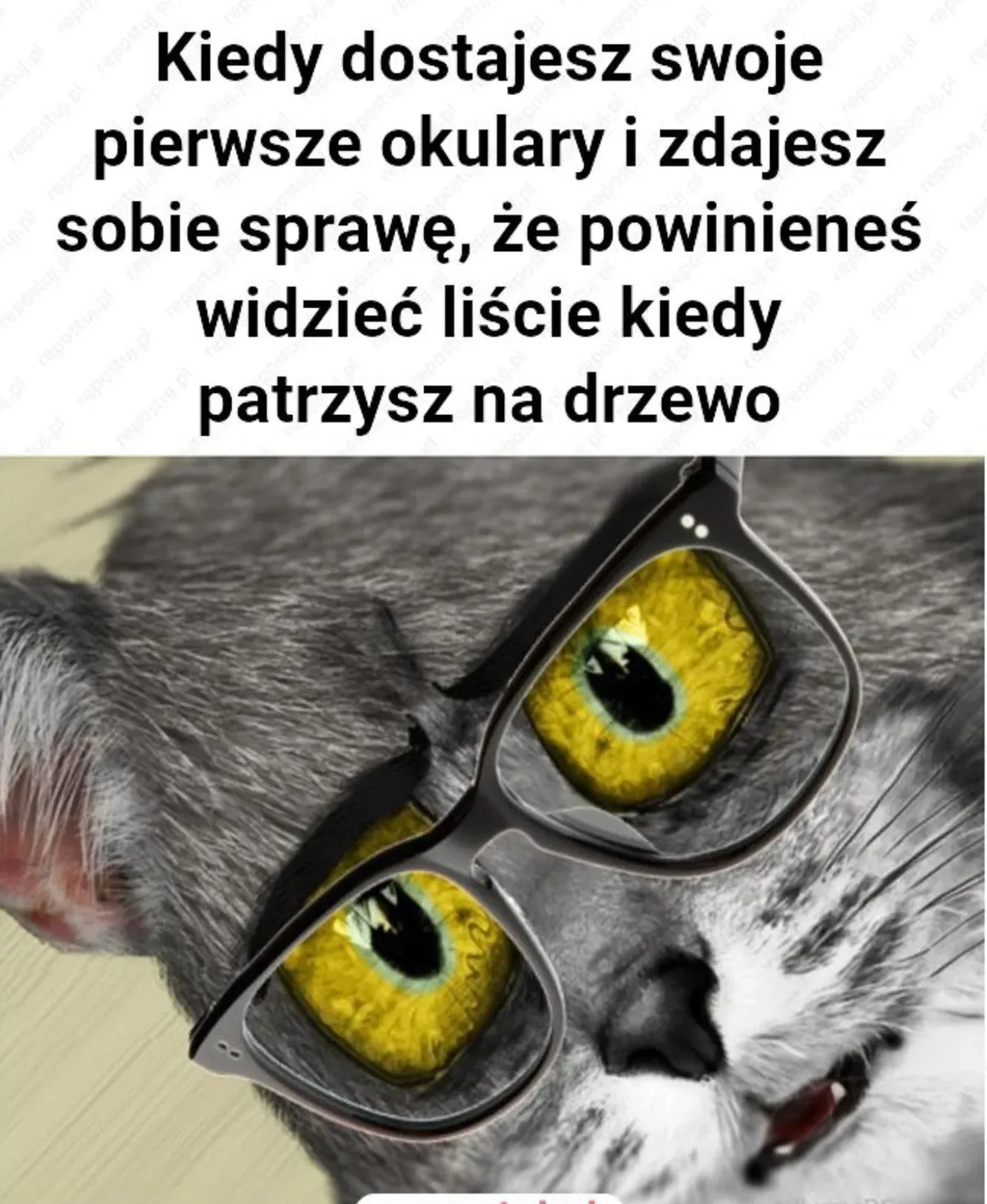 45fb15af-db9b-440a-a006-6c5563b804f4