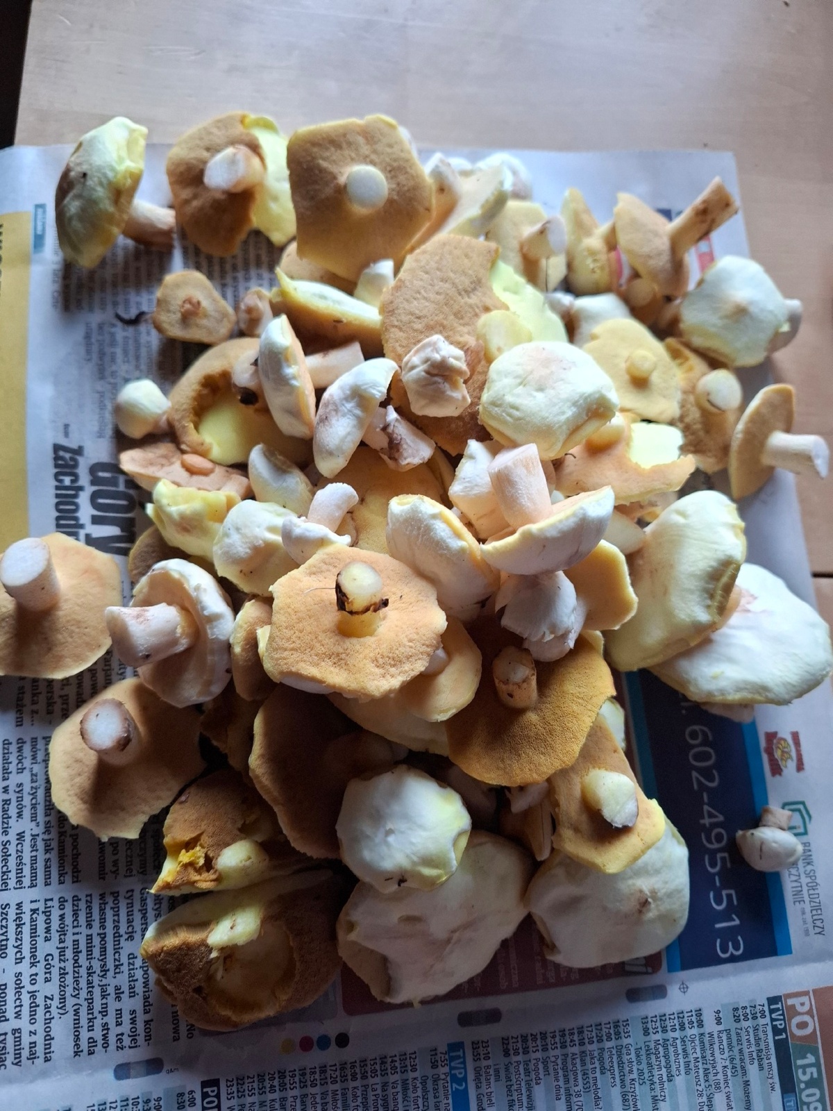 6a28d533-4a4a-404f-bb03-e91206715abb