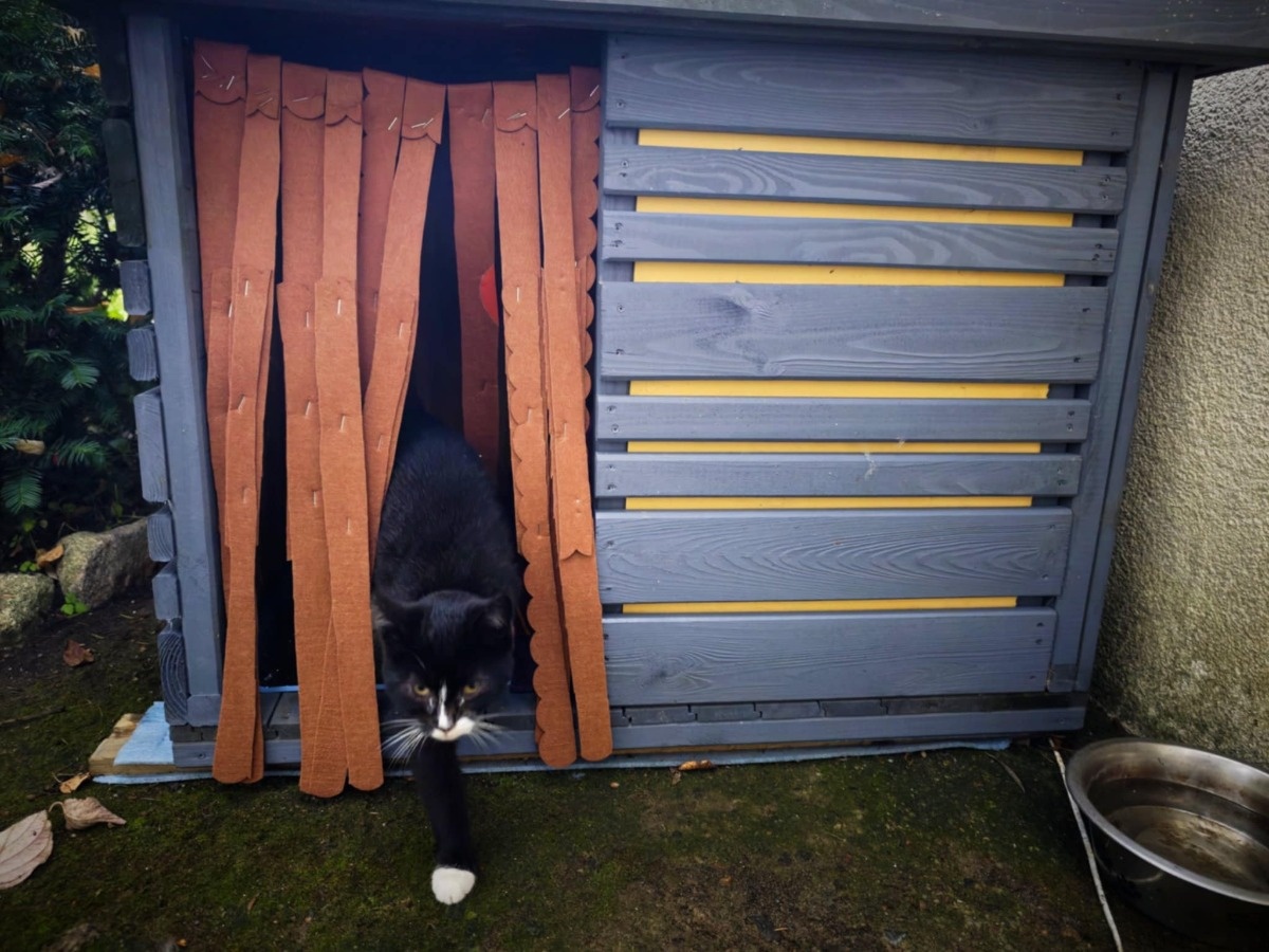 40247f91-6174-4cbd-90c9-77722aa524d7