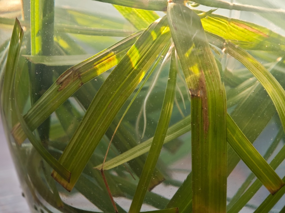 527bf97a-dbe6-4c53-b8bb-12db9dd3d287