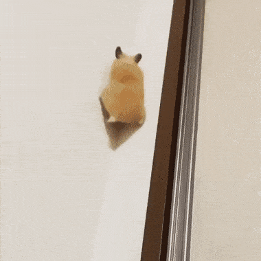 f4adb6b3-41e1-40c6-865e-fa969d65daaa