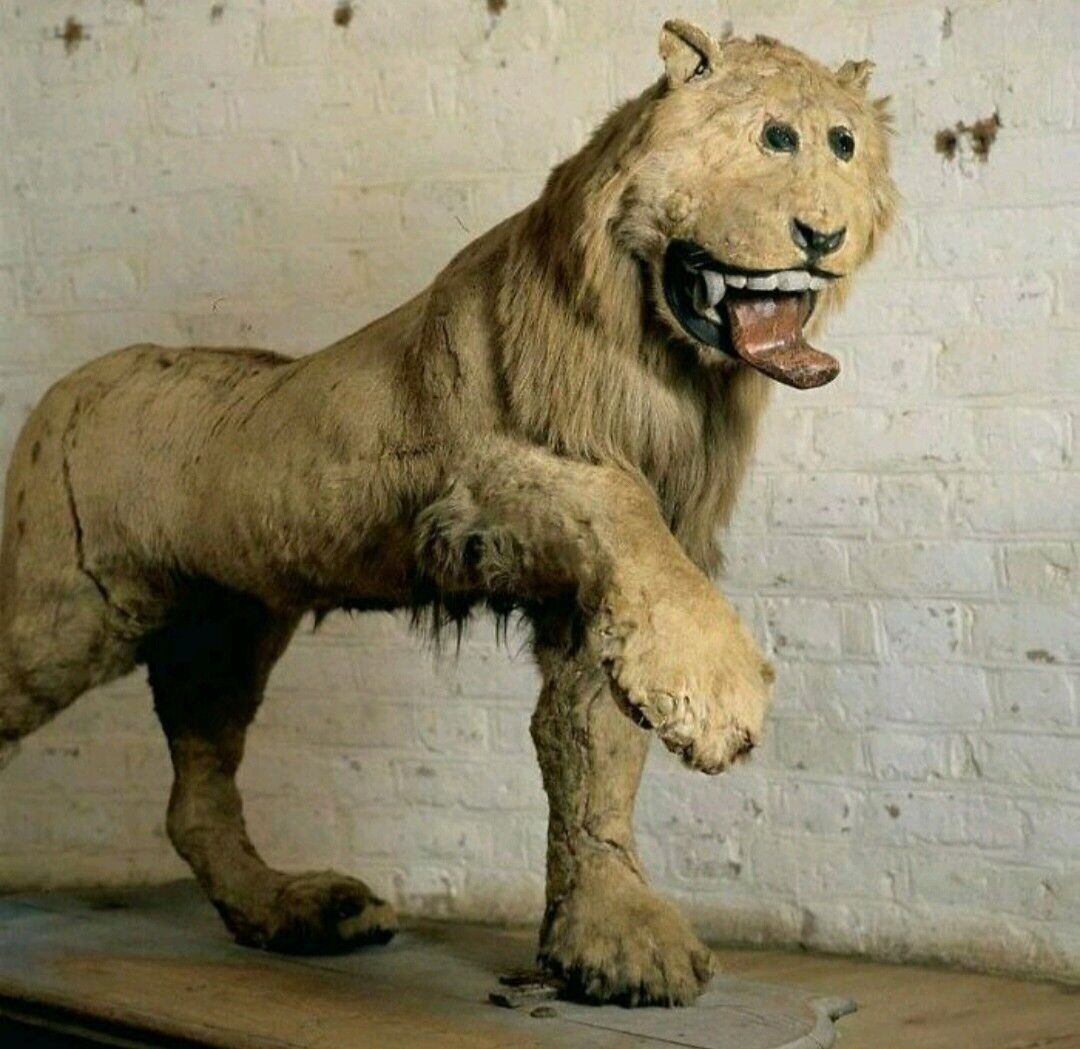 ae66a3c2-8d4e-4078-ac1e-06039f6fda64