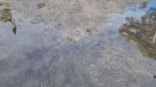 e0818550-6702-4dad-8968-8f8dc2323c56