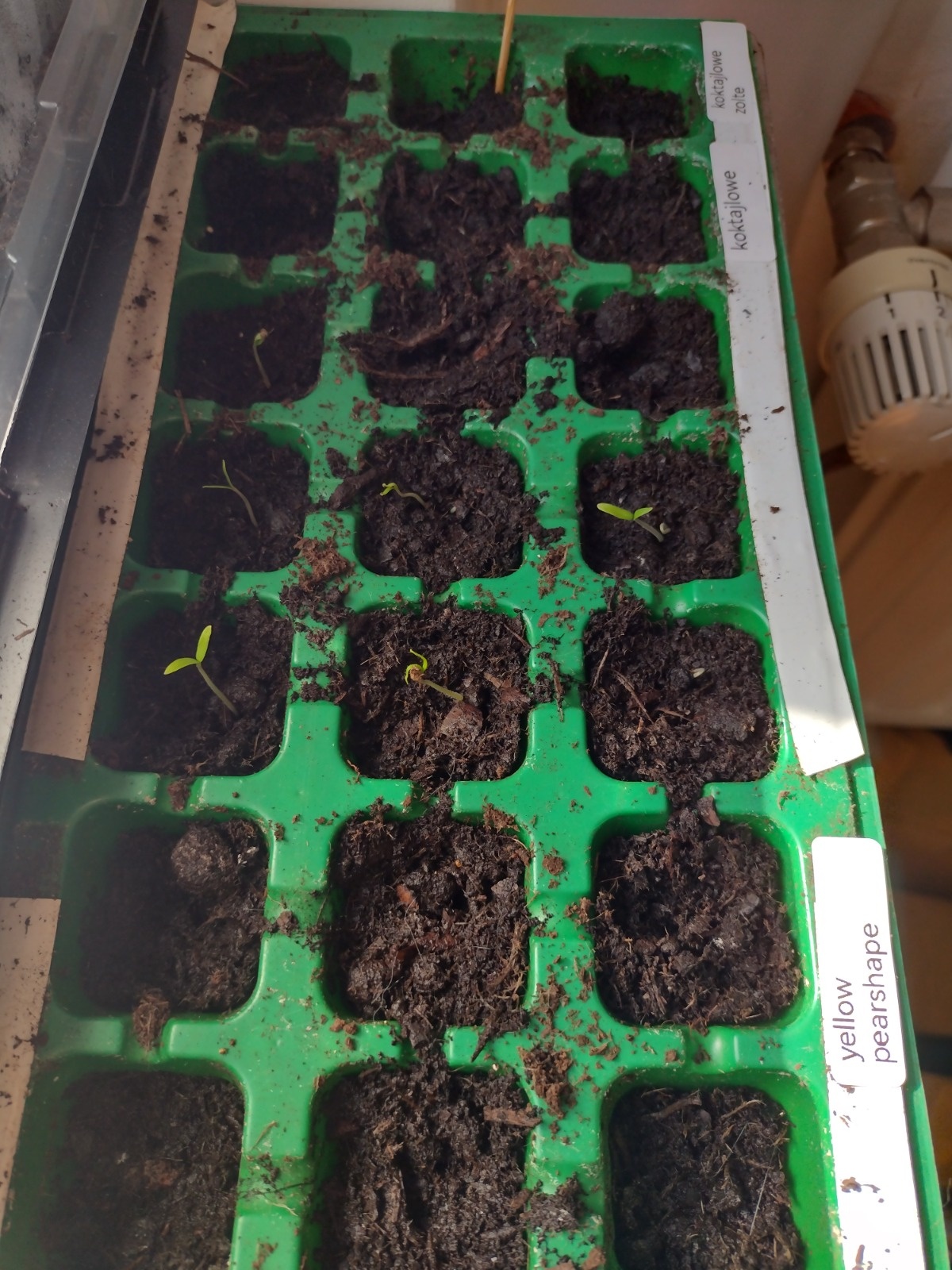 ee2c9d5d-5996-4216-b211-4271e574ff69